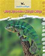 حیوانات تغییر شکل دهنده در حیات وحش - حیوانات دانشمند - کانون پرورش فکری کودکان و نوجوانان